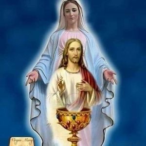 Meet your Posher, Catherine